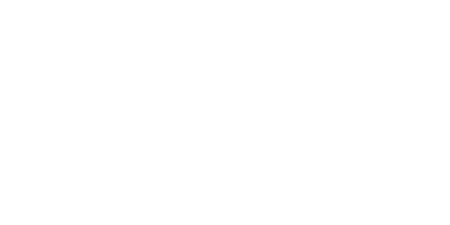 Global Vision